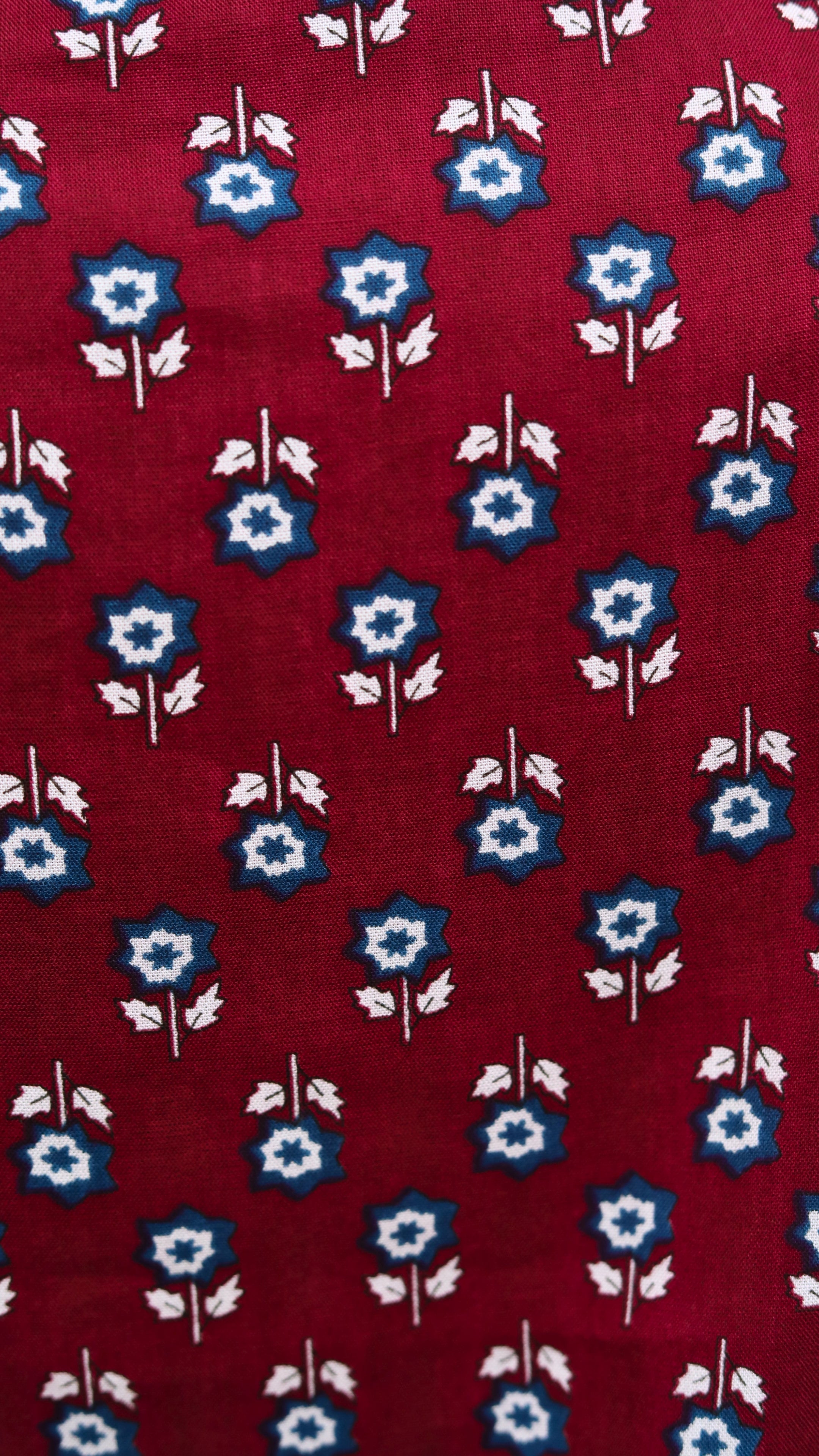 Wine Blossom Print Aline Collar Short Kurti