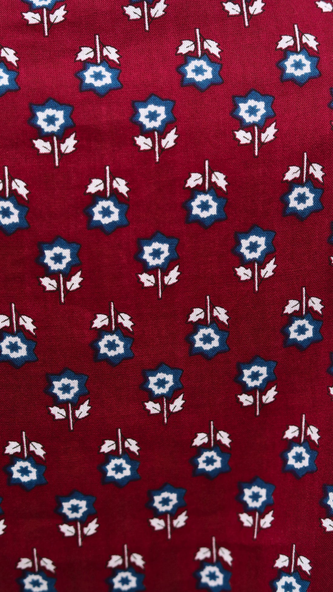 Wine Blossom Print Aline Collar Short Kurti