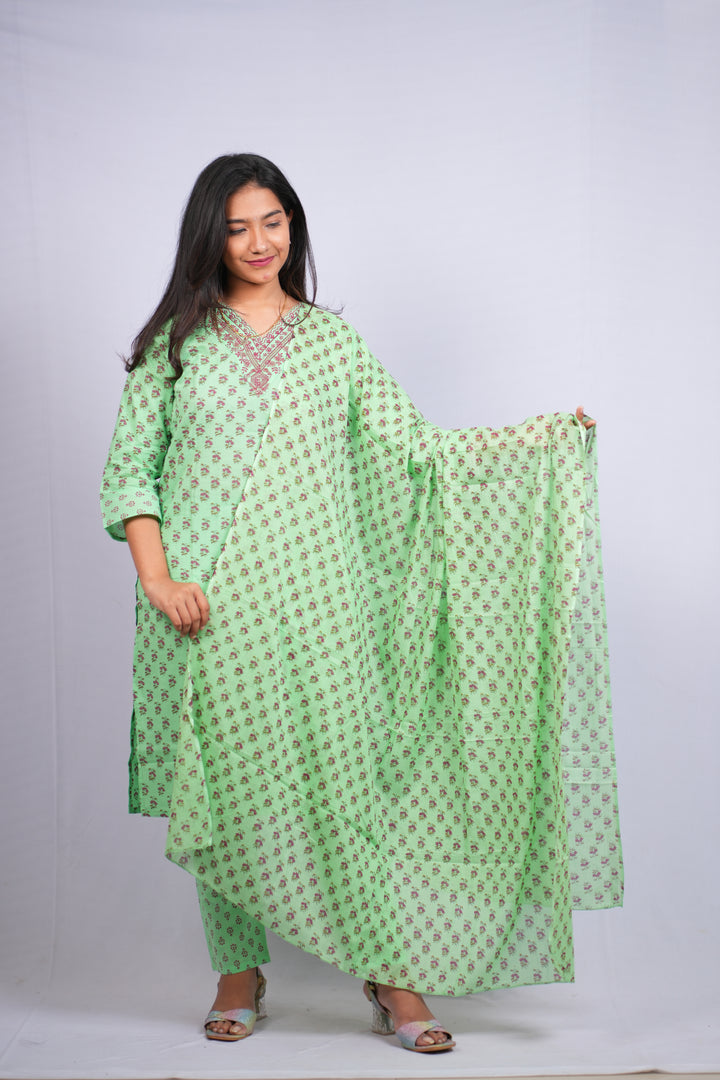 Harini Printed Kurti Set